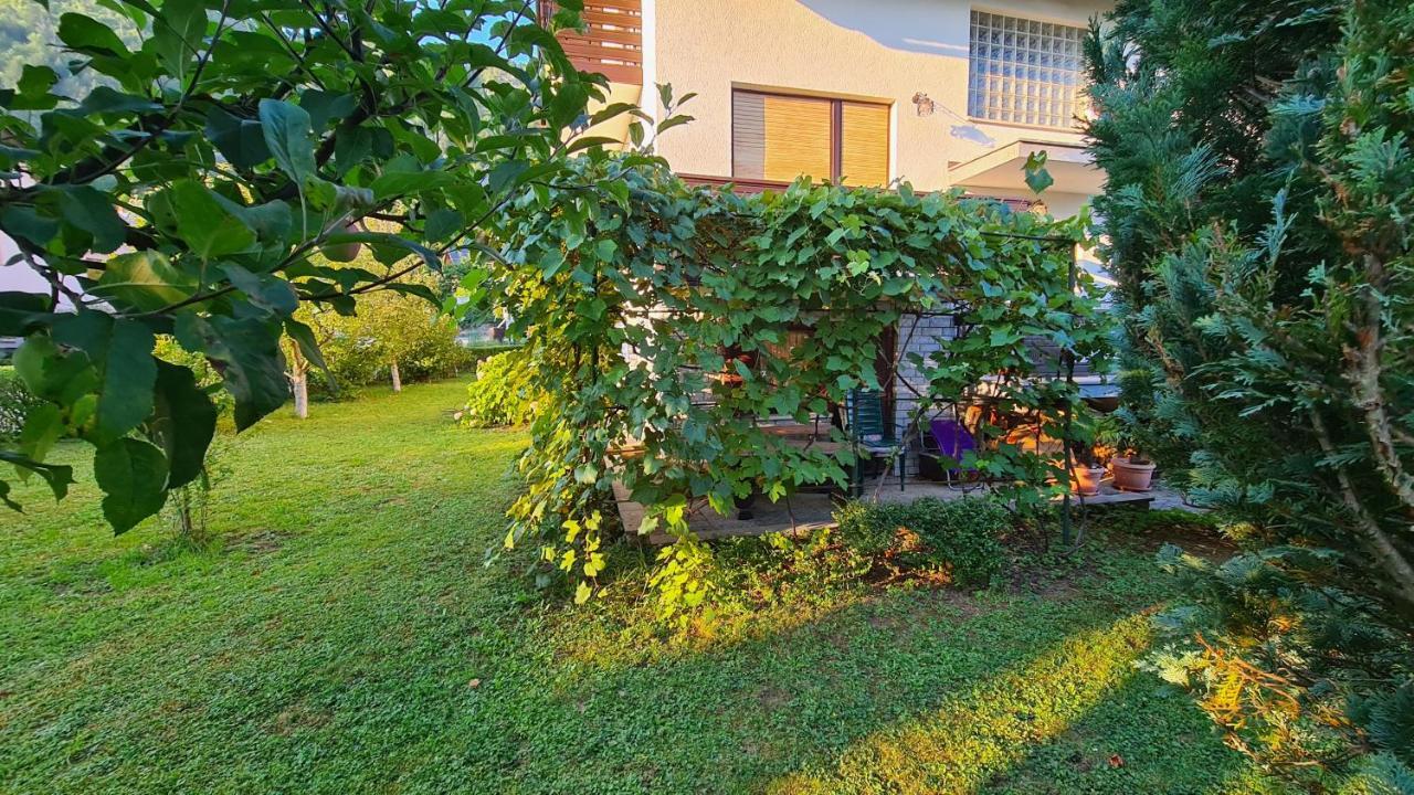 Apartment Ajdna Zirovnica Bagian luar foto